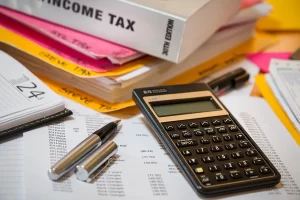 Income Tax Consultant