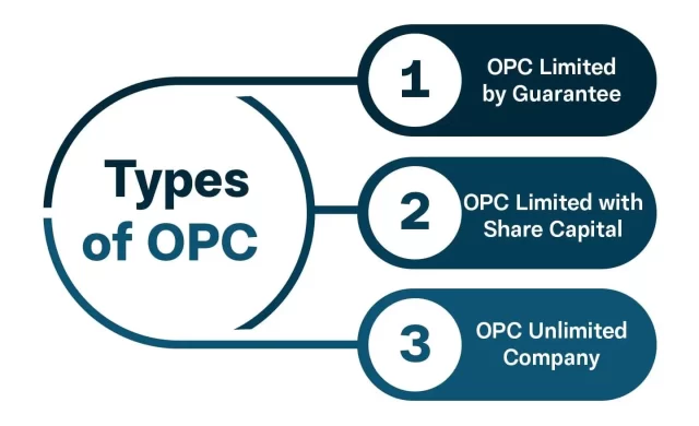 Types of One Person Company (OPC)-DisyTax